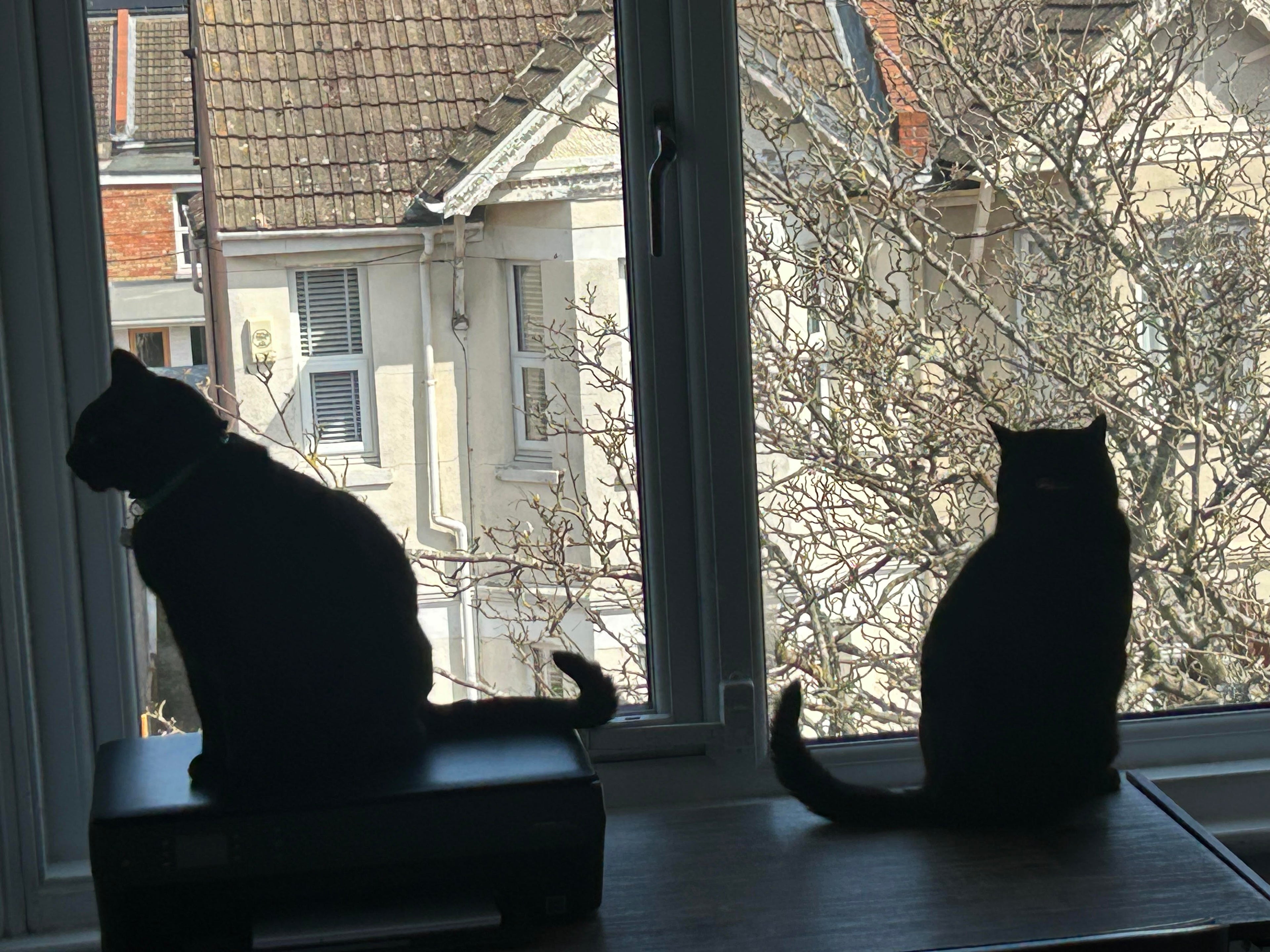 Belated Spring Update