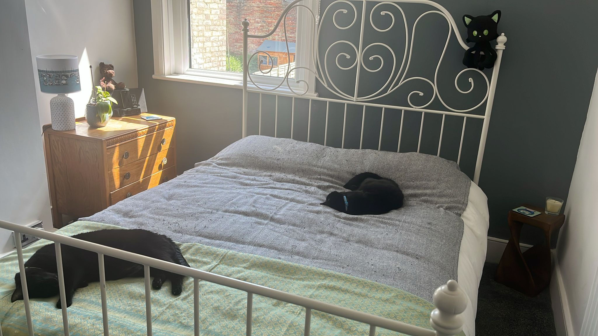 Summer Update - Various Happenings