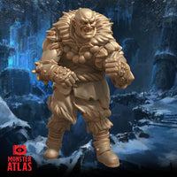 Cragg Brawler Monk by Monster Atlas