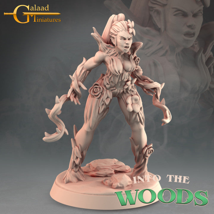 Dryad Bundle by Galaad Miniatures