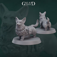 Adventure Corgi 01 by Galaad Miniatures