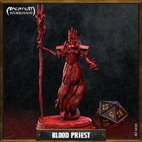 Blood Priest by Arcanum Workshop