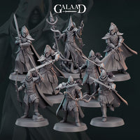 Elf Warrior Warband Bundle by Galaad Miniatures