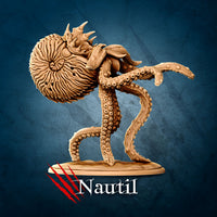 Nautilus by La Louve 3D