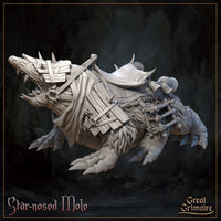 Star-Nosed Mole Rider by Great Grimoire