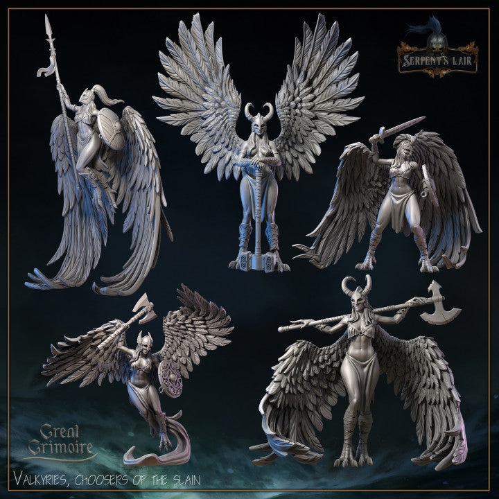 Valkyrie Bundle by Great Grimoire