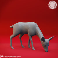 Animals 012 by Yasashii Kyojin Studios