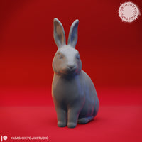 Animals 04 by Yasashii Kyojin Studios