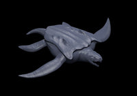 Archelon MM2025 by MZ4250
