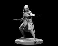 Female Assassin MM2025 by MZ4250