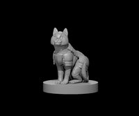 Cat in Armour by MZ4250