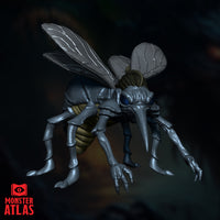 Chasme by Monster Atlas