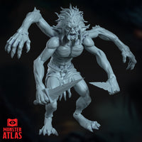 Chitine by Monster Atlas
