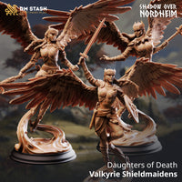 Valkyrie Shieldmaidens - Daughters of Death Bundle by DM Stash