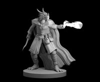 Dragonborn Sorcerer 4 w/ Daggers by MZ4250