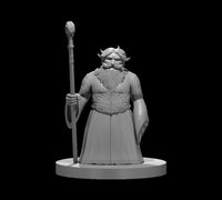 Dwarf Male Wizard 4 by MZ4250