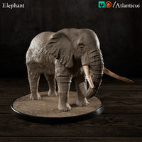 Elephant Standing by Atlanticus Arts