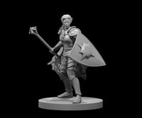 Elven Female Light Cleric by MZ4250