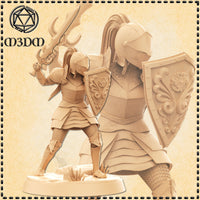 Female Knight Action by Mia Kay M3DM