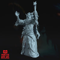 Mad Mage (Halaster Blackcloak) by Monster Atlas