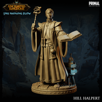 Wizard (Hill Halpert) by Primal Collectibles
