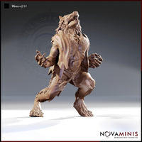 Werewolf Bundle by Novaminis