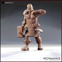 Bandit Brute Bundle by Novaminis