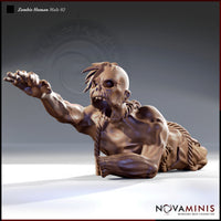 Zombie Human Male 02 by Novaminis