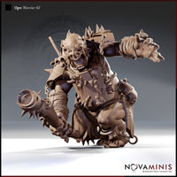 Ogre Warrior 06 by Novaminis