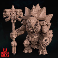 Tortle Cleric (Krull) by Monster Atlas