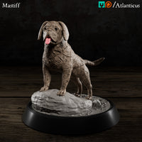 Mastiff Standing by Atlanticus Arts