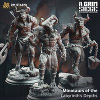 Minotaurs of the Labyrinth's Depths Bundle by DM Stash