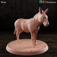 Mule Standing by Atlanticus Arts