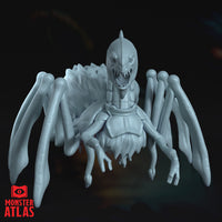 Neogi by Monster Atlas