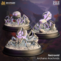 Archano Arachnid Bundle by DM Stash