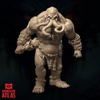 Ogre Cenomorph by Monster Atlas