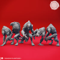 Quaggoth Bundle by Yasashii Kyojin Studios