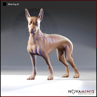 Blink Dog 01 by Novaminis