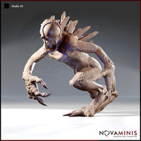 Nothic 01 by Novaminis