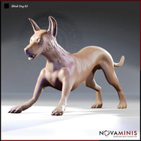 Blink Dog 02 by Novaminis