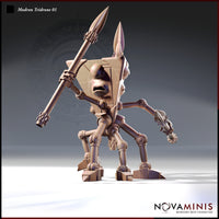 Tridrone Bundle by Novaminis