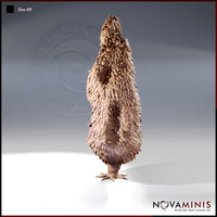 Tree 09 by Novaminis