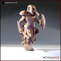 Hobgoblin Warrior 06 by Novaminis