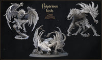 Rapacious Bird Bundle by Great Grimoire