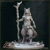 Fox Tribe 02 by Great Grimoire