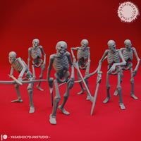 Skeleton Bundle by Yasashii Kyojin Studios