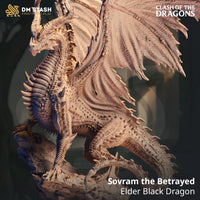 Elder Black Dragon (Sovram the Betrayed) by DM Stash