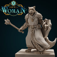 Tabaxi Cleric - Snowy Meadows Silver Sky by DnD Is A Woman