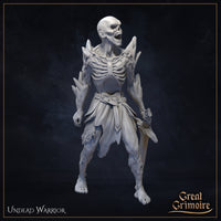 Frozen Knight 04 by Great Grimoire