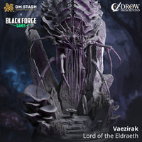 Ancient Elder Drider (Lord of the Eldraeth Vaezirak) by DM Stash